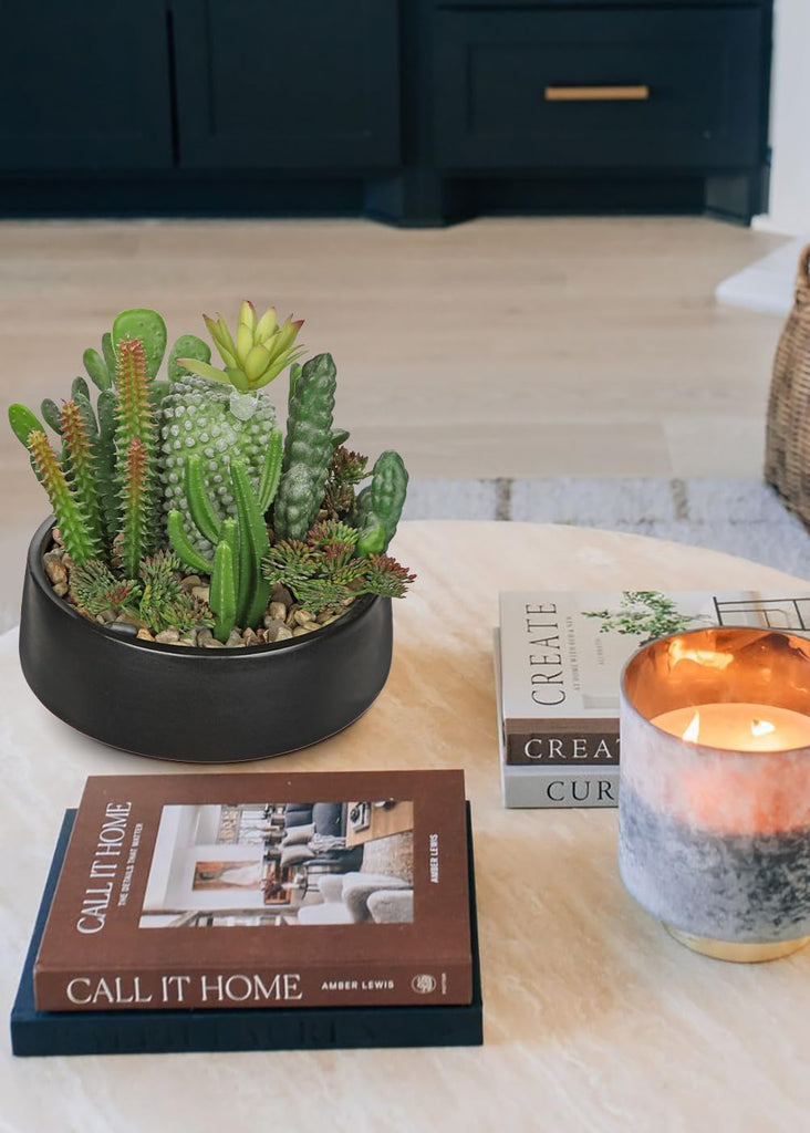 Artificial Cactus Plants in Pot 5.5 Inch Fake Succulents Arrangement Potted Plant in Black Ceramic Planter Bowl Desk