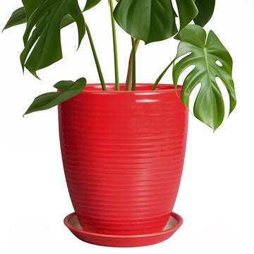 Ceramic Pot for Plants - 8 Inch Plant Pot for Indoor Plants Outdoor Round Planter Modern Flower Pot with Drainage