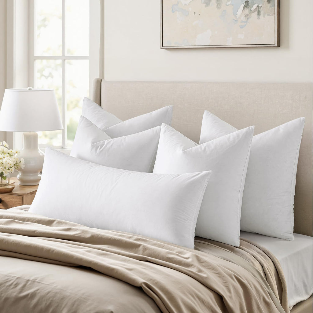 22x22 Pillow Inserts Feather Down Throw Pillows - Set of 2