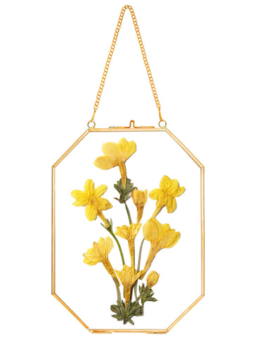 Pressed Flower Frames, Glass Floating Frames for Display Dried Plant Specimen Picture, Hanging Brass Photo Frame with
