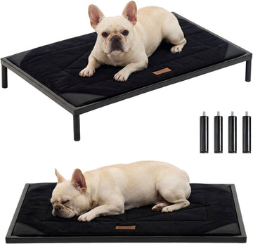 Chew Proof Elevated Dog Bed for Medium Dogs, 36" x 24" x 5", Black