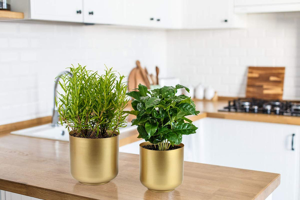 Large Gold Planters Metal Aloe Brass-Tone Plant Pots Indoor Decorative Flower Pots with Drain Holes(8+7.1Inch)