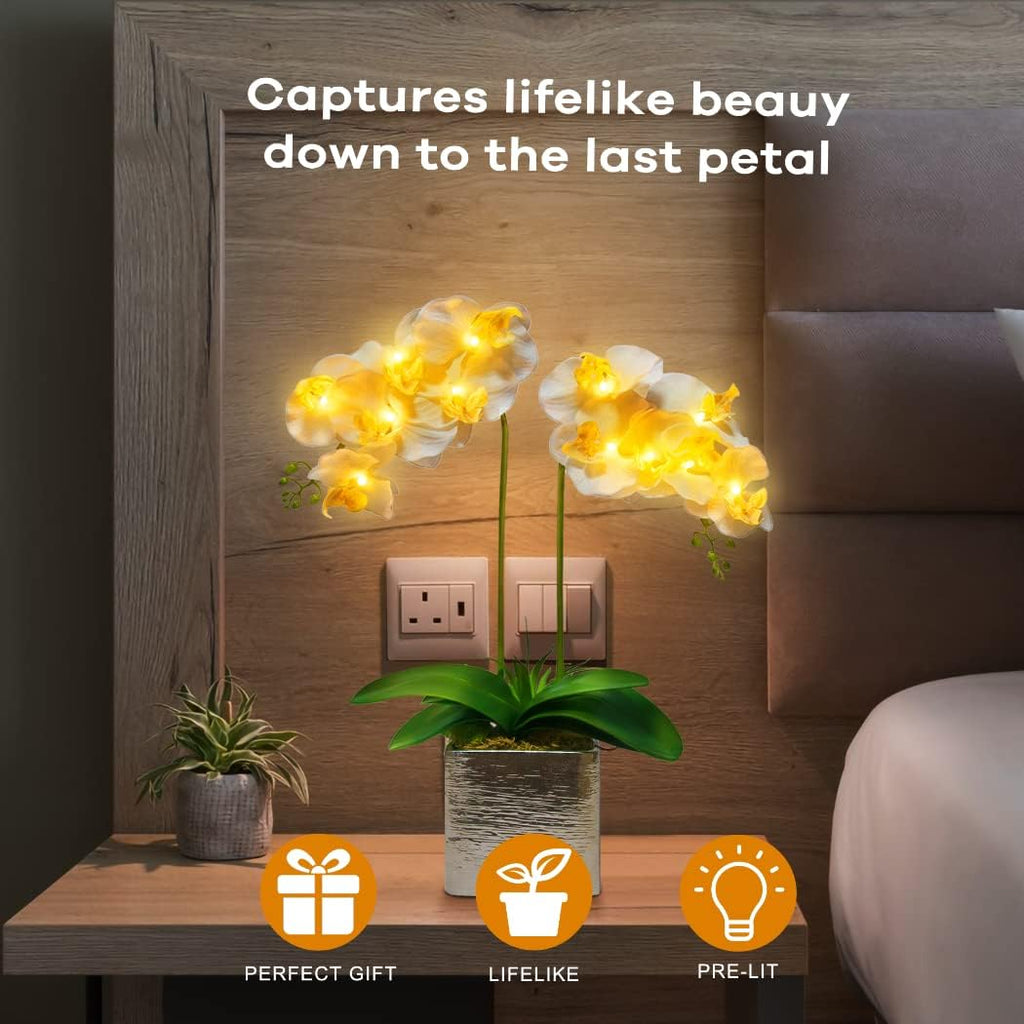Orchid Lamp-LED Lighted Orchid Arrangements,Pre Lit Artificial Orchid,Light Up Flower Lights, Faux Orchid