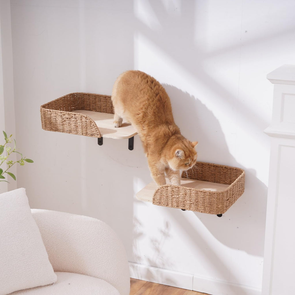 2-Pack Wall Mounted Cat Bed Perch