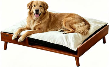 Elevated Dog Bed, Solid Wood Raised Pet Bed Frame with Cushion, Large