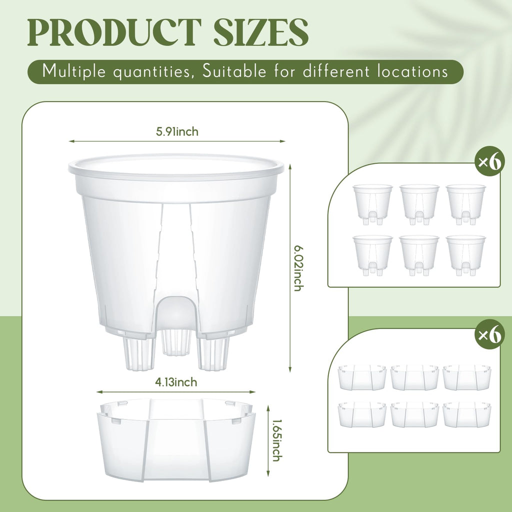 Self Watering Planter, 5.91'', Clear, 6 Pcs