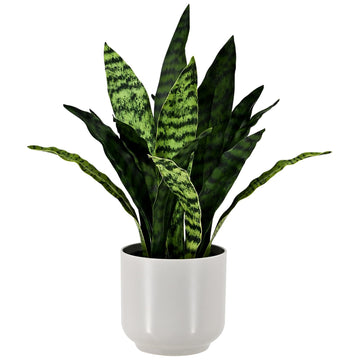 Faux Snake 19" Tall Artificial Plant Indoor Decor