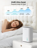 Small Dehumidifier for Home, 30 OZ Mini Quiet Dehumidifiers for Bedroom