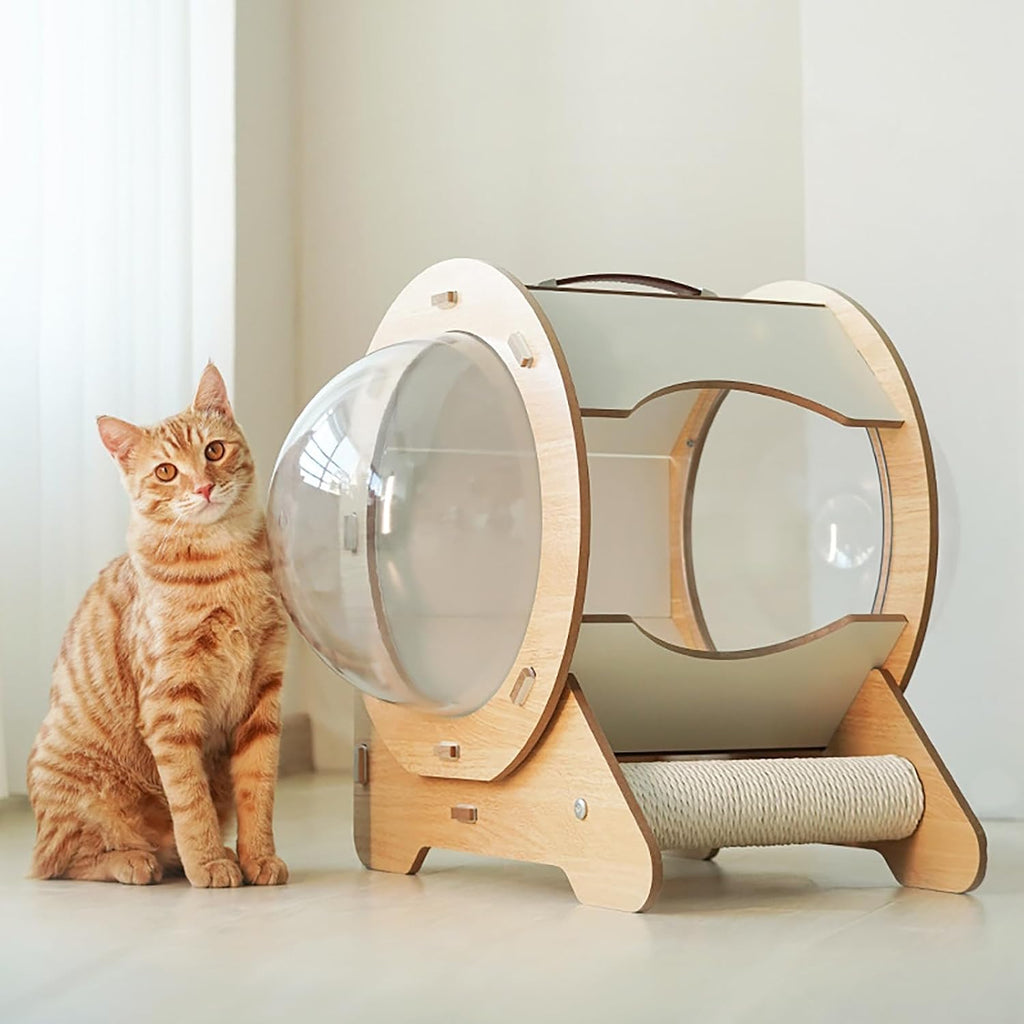 Clear Capsule Cat Bed, 22 lbs Load Freestand Modern Spaceship Space Capsule Scratching Post W/Cushion Transparent