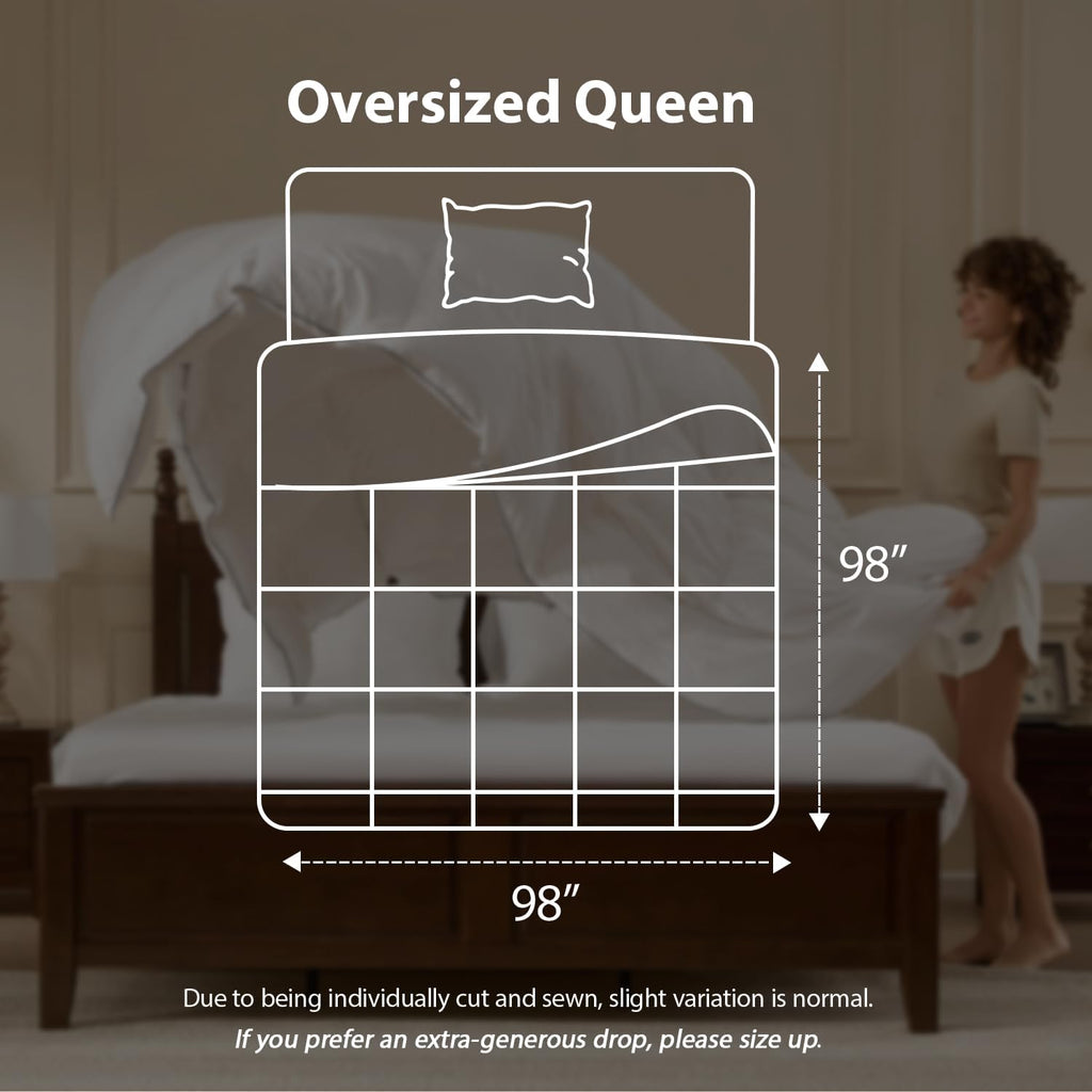 Goose Down Fiber Comforters Oversized Queen Duvet Insert, All Season White Comforter