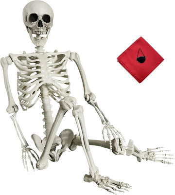 5.4Ft Halloween Skeleton Life Size Skeleton with Posable Joints