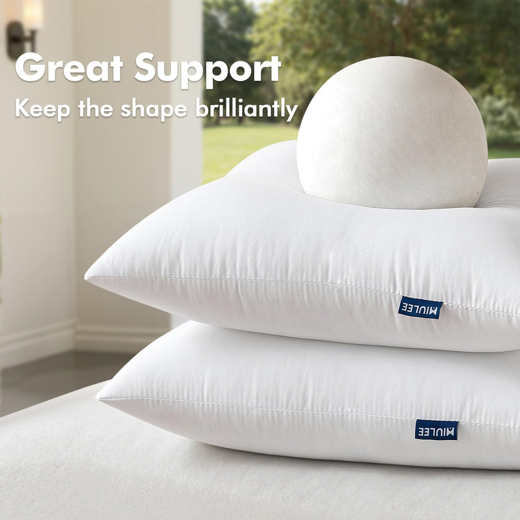 18x18 Inch Outdoor Pillow Inserts - Set of 4