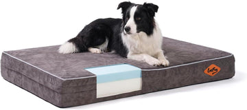 Orthopedic Memory Foam Pet(40"x 25"x 4", Slate Grey)/Dog Bed with Durable Waterproof Liner and Removable Washable Cover