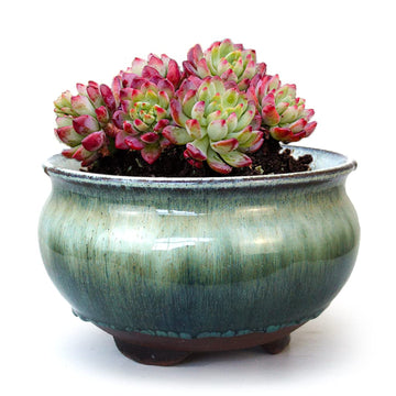 8 Inch Succulent Pot with Drainage and Saucer Glazed Terracotta Round Ceramic Succulent Planter Cactus Bonsai Plant