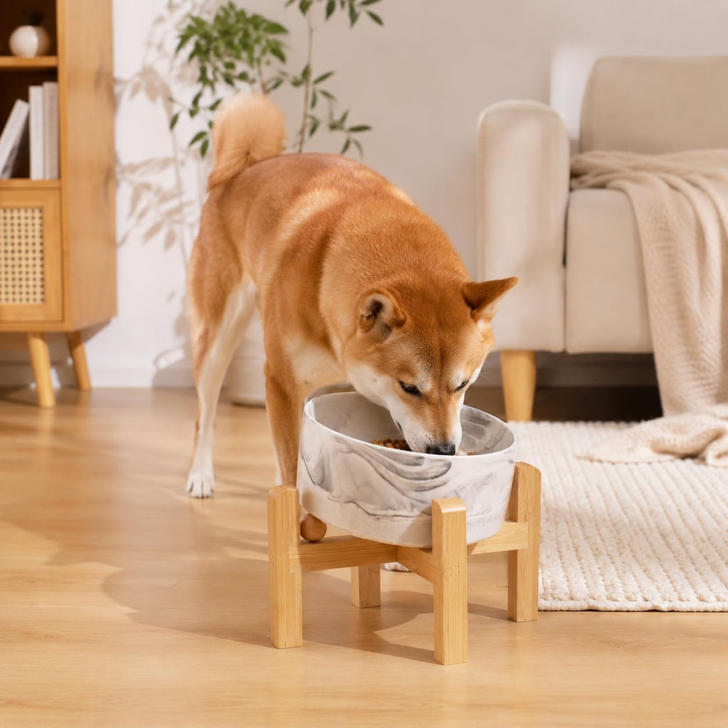 Elevated Ceramic Dog Bowl 15°Slanted Raised Dog Bowl with Bamboo Stand for Small Medium Dogs and Cats, Pet Feeder
