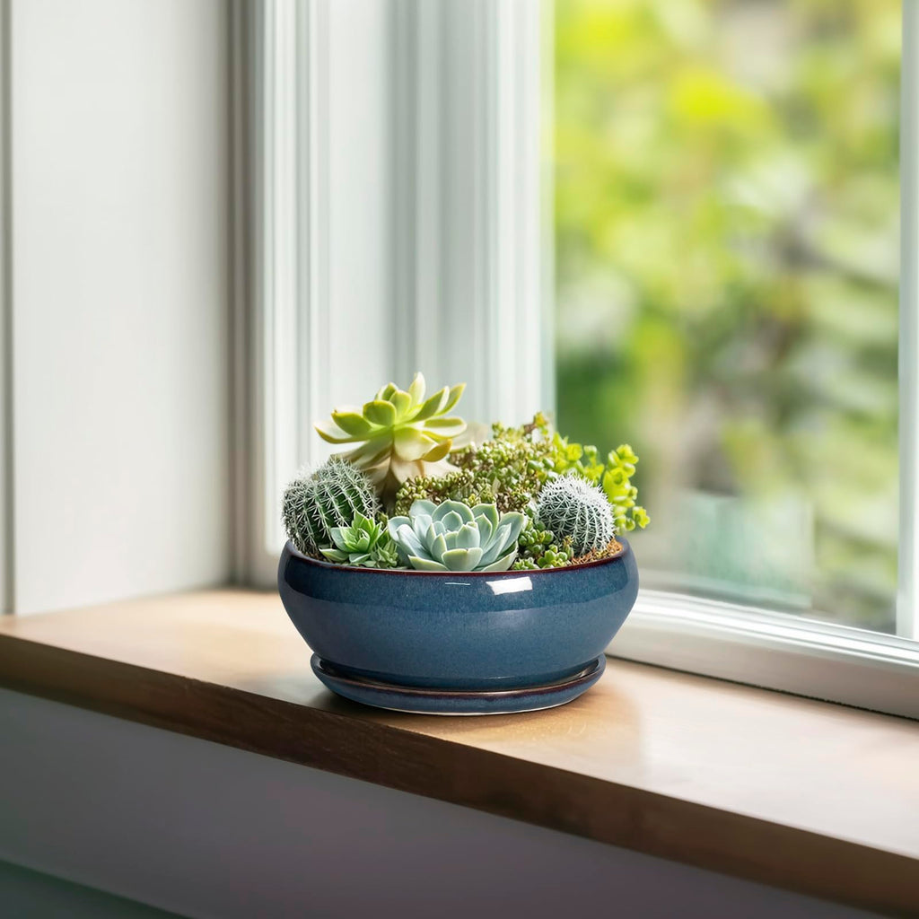 Succulent Pots - 6 Inch Ceramic Bonsai Pots, Shallow Planter with Drainage Hole and Saucer, Modern Round Planter for