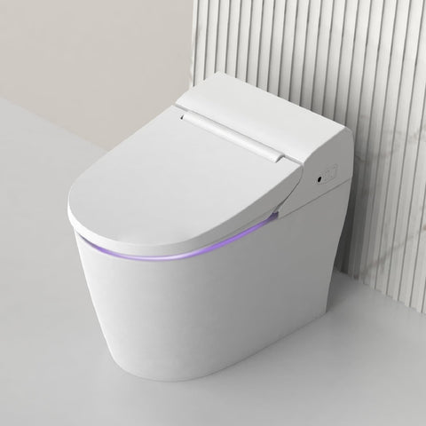 Smart One-Piece Elongated Toilet, Dual Auto Flush, ADA Comfort Height, Heated Seat