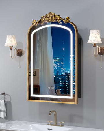 20"x30" LED Bathroom Medicine Cabinet with Mirror and Lights, Bronze Hand-Painted Baroque Bathroom Storage with