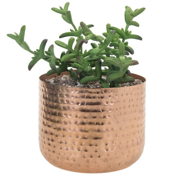 6 Inch Copper Tone Metal Plant Pot with Hammered Design, Decorative Small Succulent Planter - Handcrafted in India