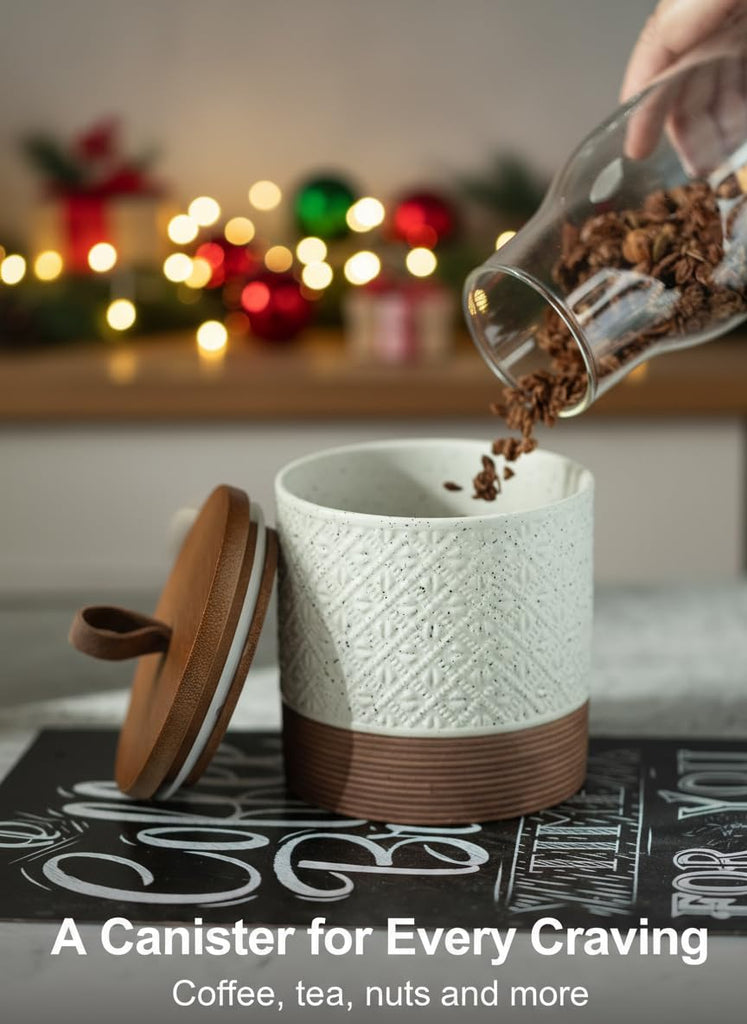 Ceramic Jar with Lid, Airtight Coffee Canisters, White & 20 fl.oz