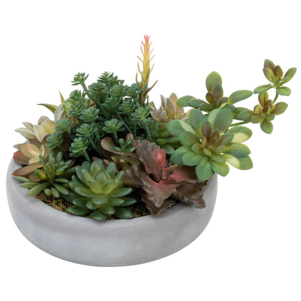 Artificial Succulent Arrangement in Round Gray Cement Planter Pot