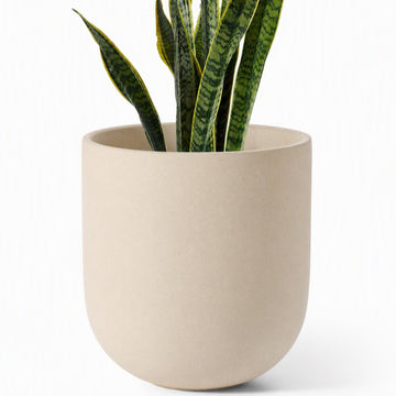 10 Inch Plant Pot, Ceramic Pots for Plants, Speckled Oat