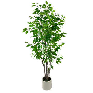 5ft Artificial Ficus Tree with White Plastic Planter