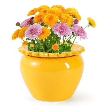 8in Self Watering Terracotta Planter - Yellow Ceramic Pot Maintenance Plant Seeder Planter for Indoor Plants African