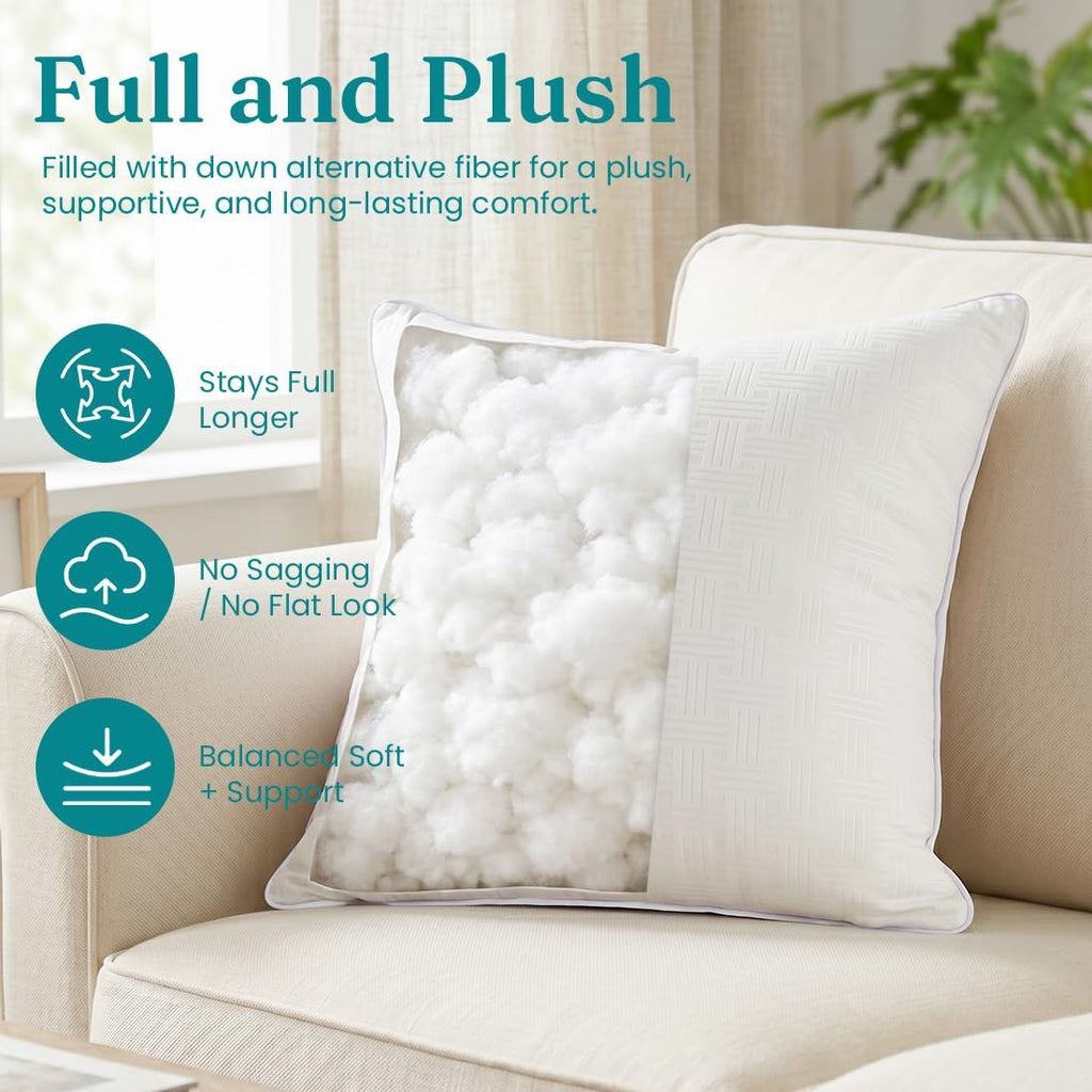 Throw Pillow Inserts 22x22, Decorative Throw Pillows - Set of 2