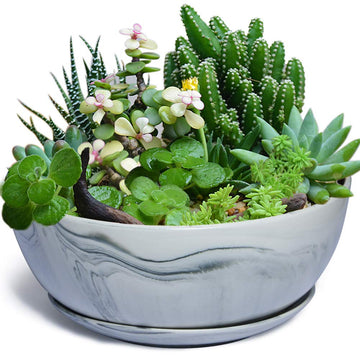 10Inch Large Planter Marble Pattern Ceramic Succulent Planter Big Plant Pot Succulents Container Flower Pot Indoor