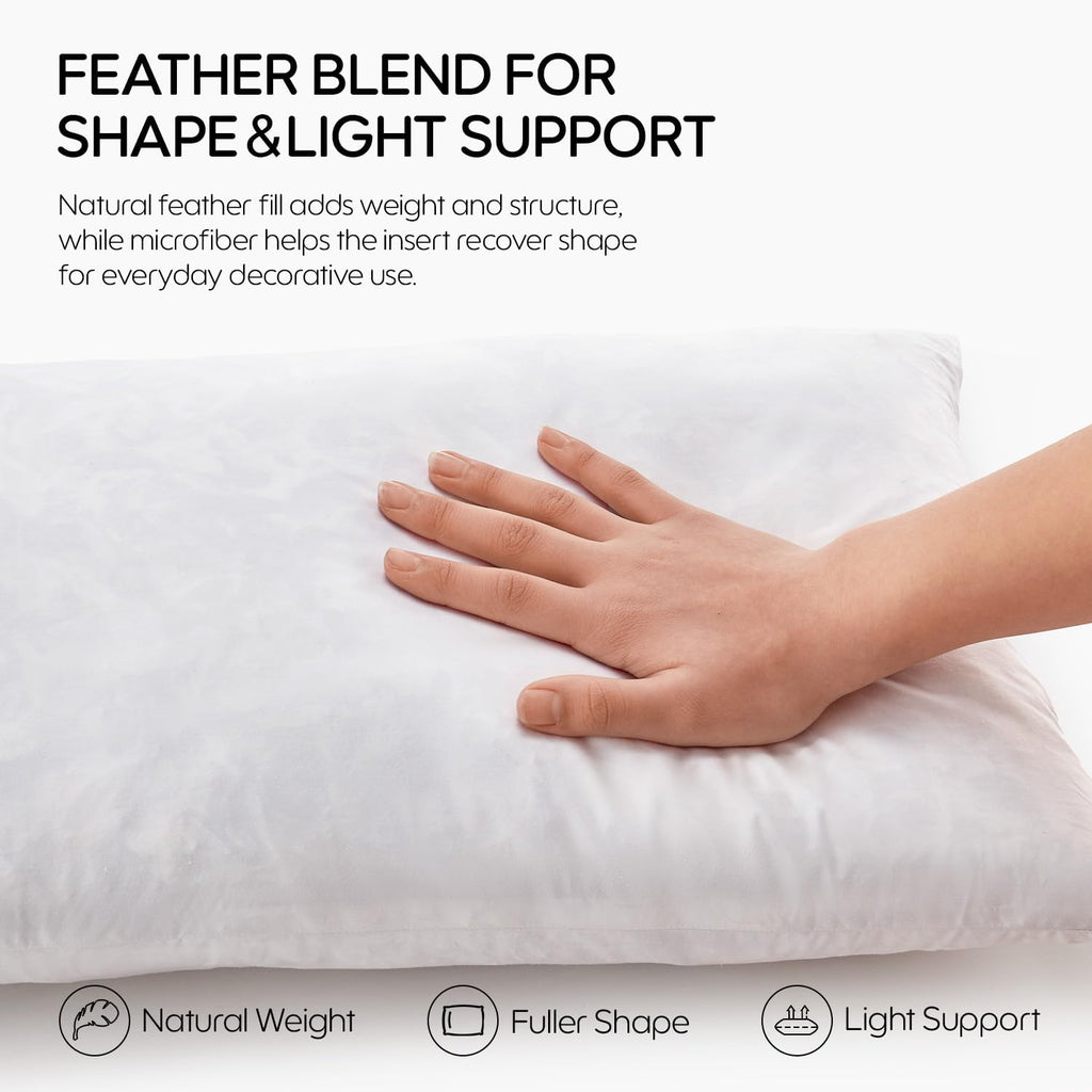 Feather Throw Pillow Inserts, Soft Fluffy Square 22 x 22 Inches Decorative Pillow Insert, Feather and Down - Set of 4