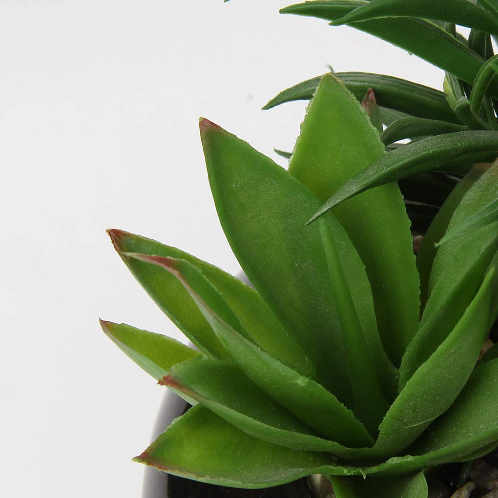 Large Artificial Succulents Plants Faux Succulents in Pots Fake Succulent Potted Plants with Black Ceramic Pot Decor