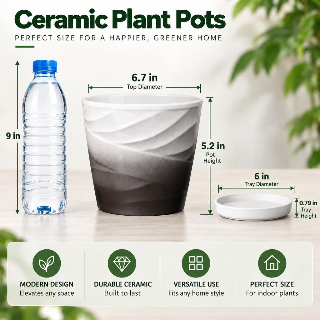 Ceramic Plant Pots, 6 Inch, Set of 2
