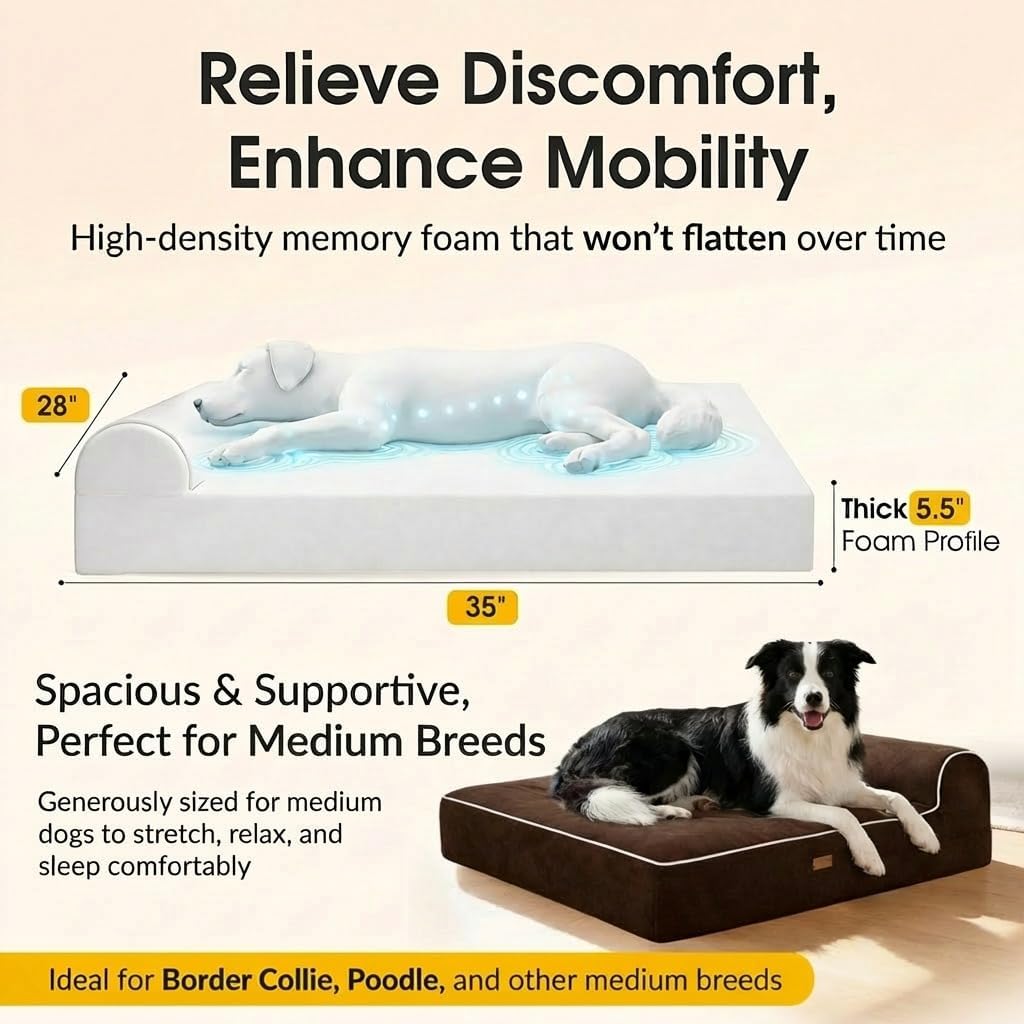 5.5 Inch Thick High Grade Orthopedic Memory Foam Dog Bed With Pillow and Easy to Wash Removable Cover with Anti-Slip