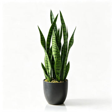 28in Artificial Sansevieria Plant with Pot Fake Snake