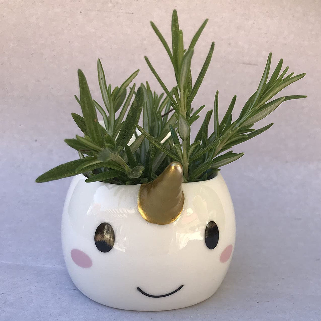 Planter for Succulent Plant Ceramic Plant Pots Indoor, Novelty Planters Garden (Wale w Gold Horn, 2)