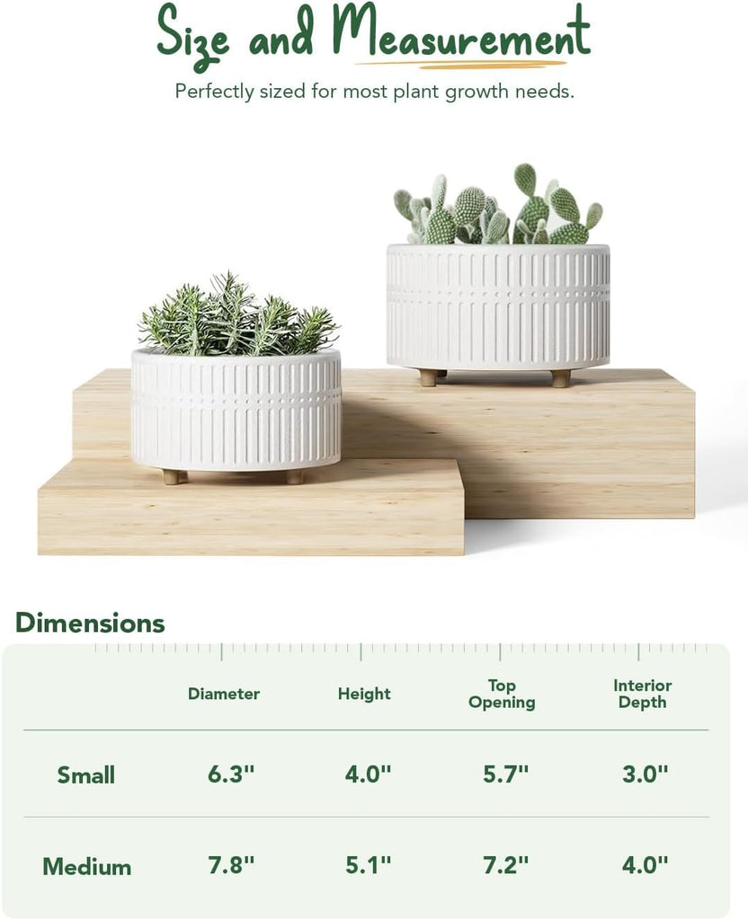 Succulent Pots, 6.5+8 Inch Ceramic Indoor Plant Pot with Drainage Hole, Shallow Round Succulent Planters, Set of 2