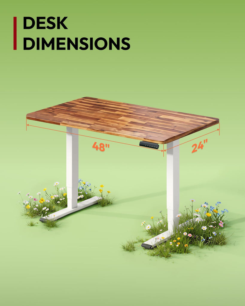 Solid Wood Dual Motor Standing Desk-48"x24"-Natural/White