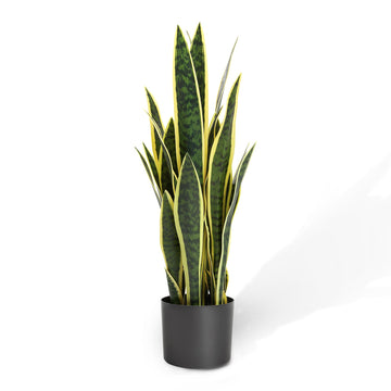2ft Artificial Snake Plant in Black Pot, 25.6in Faux Sansevieria, Yellow