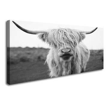Highland Cow Canvas Art - Black and White Animal Wall Art Decor