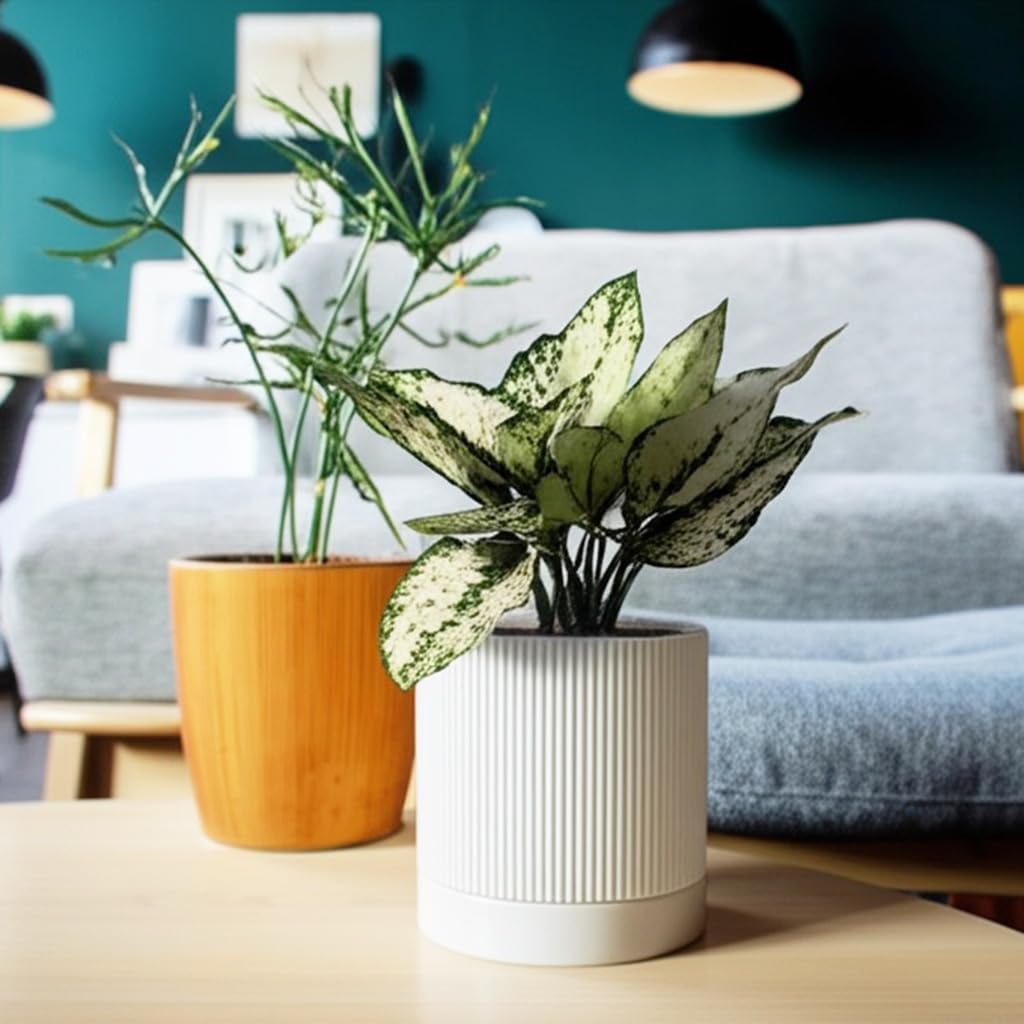 6 Inch Ceramic Plant Pot with Drainage & Saucer - Indoor Planter for Succulents, Cacti & Aloe Vera - Striped Design