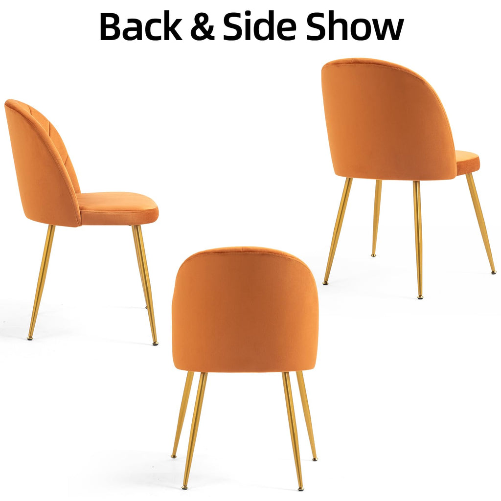 Velvet Dining Chairs Set of 4, Upholstered Mid Century Modern Dining Chairs, Armless Accent Chair with Metal Gold