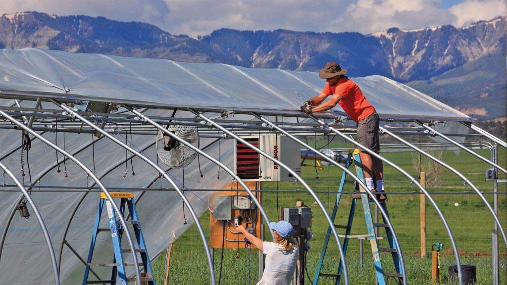 Clear Greenhouse Plastic Sheeting 8 mil - UV Resistant Polyethylene Greenhouse Film, Hoop House Green House Cover for