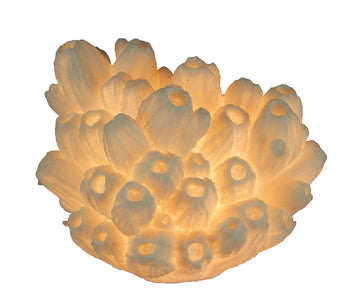 White Faux Tube Coral Decorative Coastal Art Accent Lamp