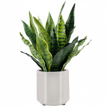 Faux Snake Plant 22" Tall, Realistic Touch Leaves, Potted Artificial Plants Indoor Decor Small Office Home Living Room