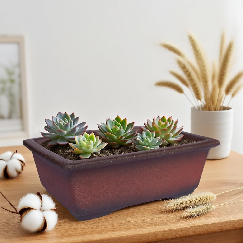 Decorative Ceramic Bonsai Planter Pot 8.5 Inch with Tray, Breathable Unglazed Rectangle Terracotta Clay Pot for Tree