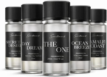 Luxury Hotel Scents - 5 Diffuser Oil Set - 5 x 0.68 fl oz(20 mL) | Secret Desires, Day Dream, The One, Ocean Breeze &