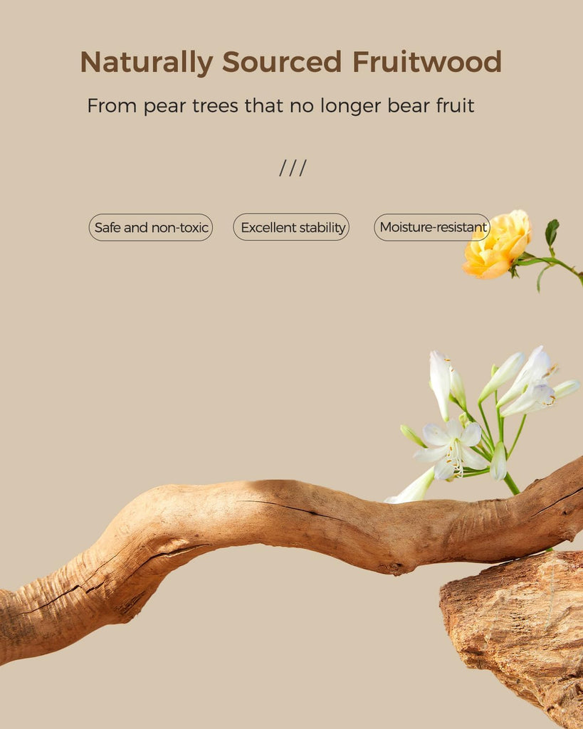 Modern Cat Tree for Large Cats, Wood Cat Tower for Indoor Cats, Real Branch Luxury Cat Furniture with Super Large