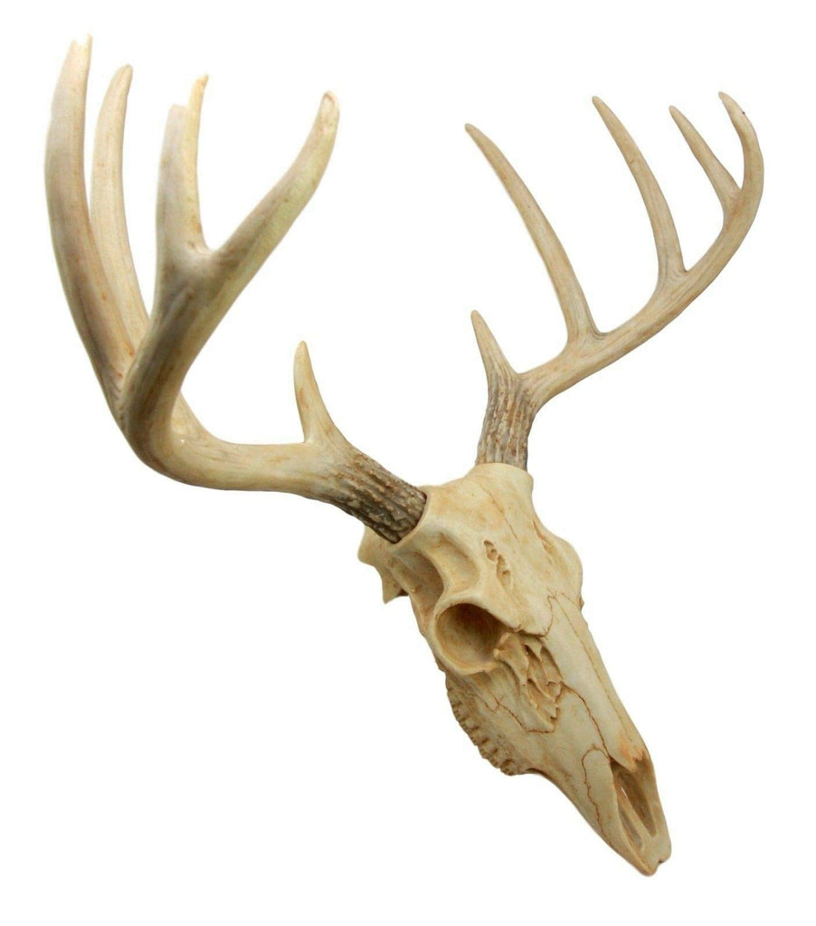 Rustic Hunter Deer 10 Point Buck Skull Trophy Antlers Wall Mounted Plaque Decor Figurine 14.25" Long Hunter's Antler