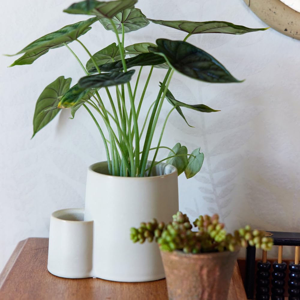 Ember Earth Soy Candle Planter - 8Oz w/50hr Burn -Pollination